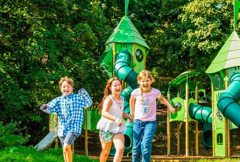 The Power of Physical Play